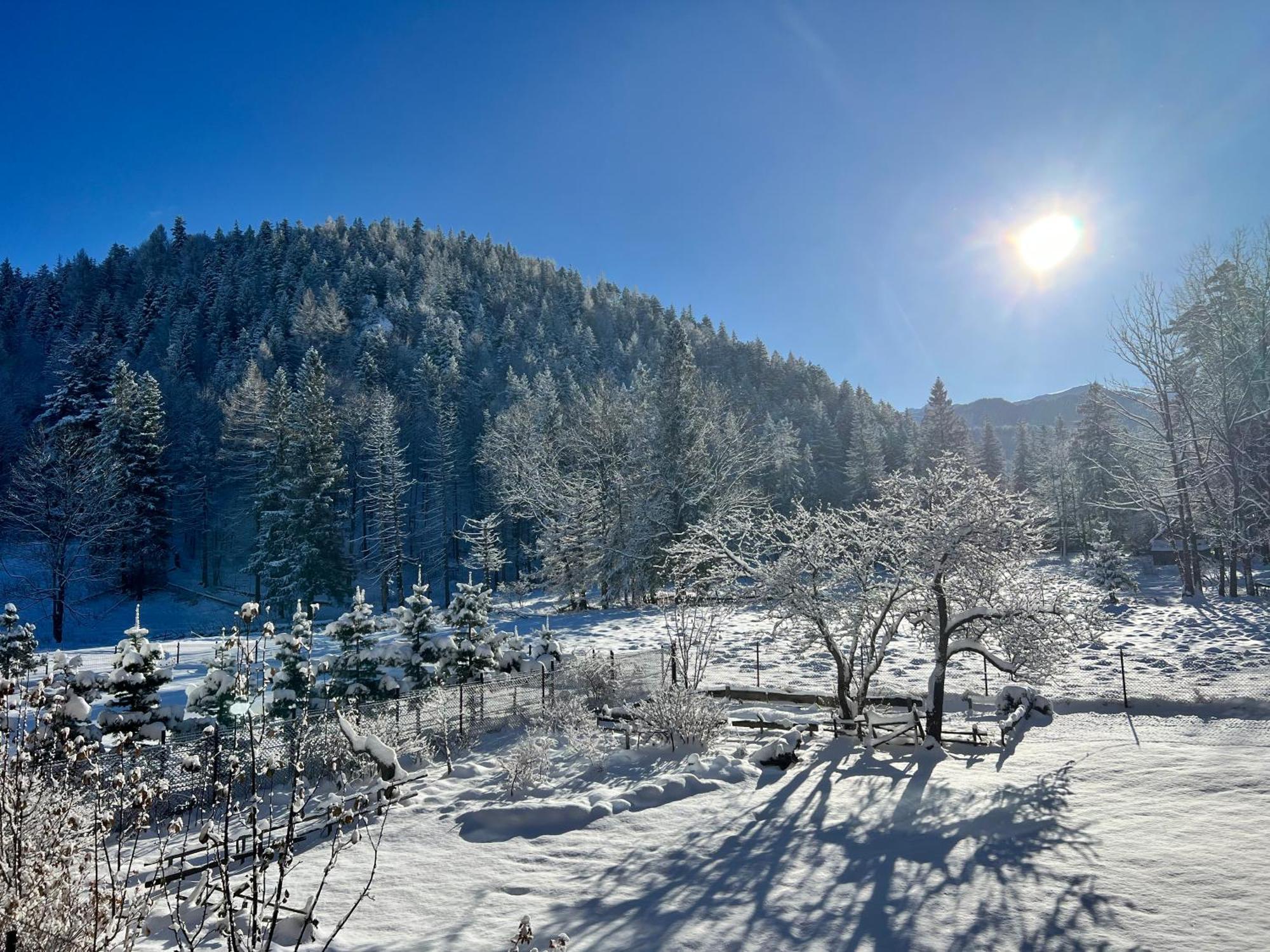 Rezydencja Owca Na Szlaku — Photos 1